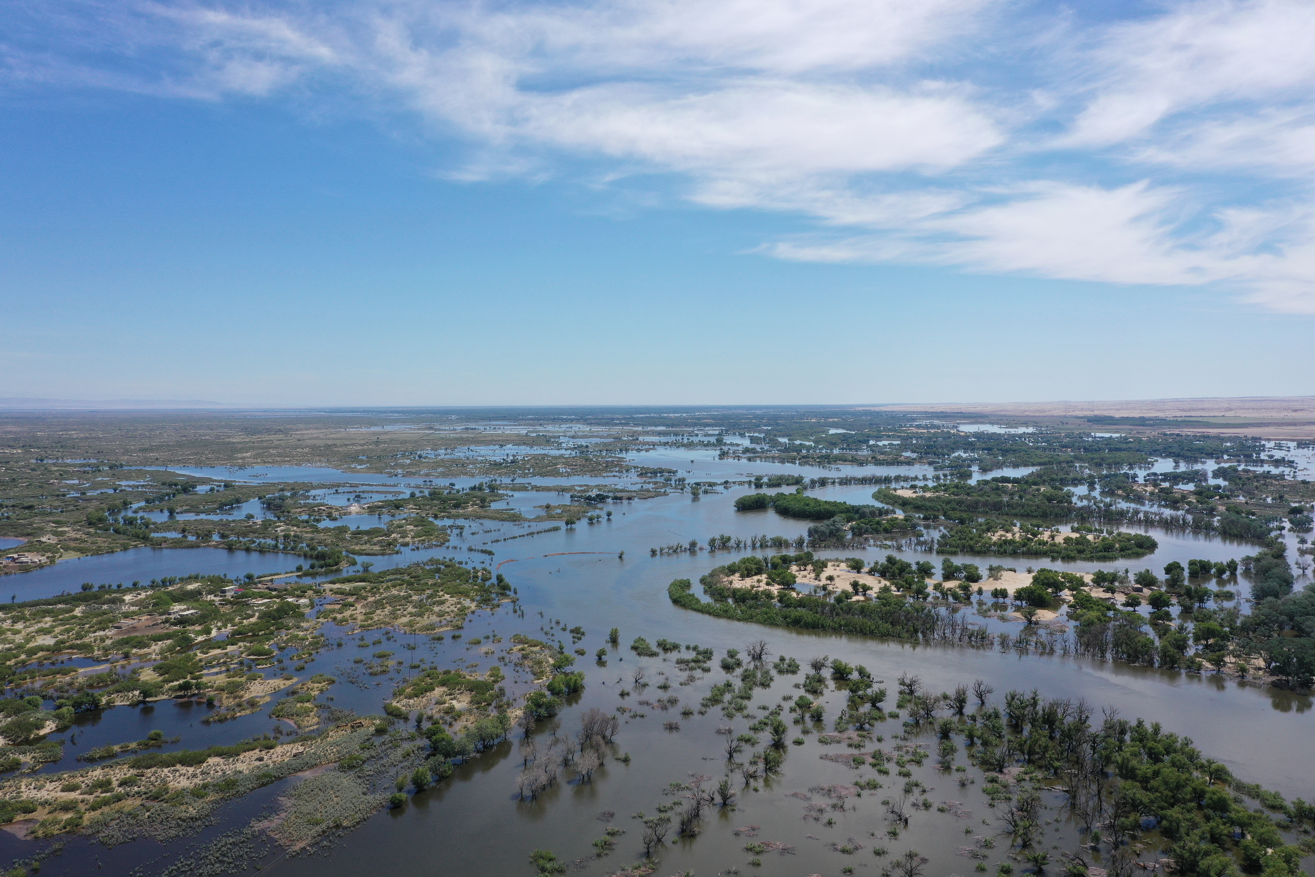 mmexport1741749970267