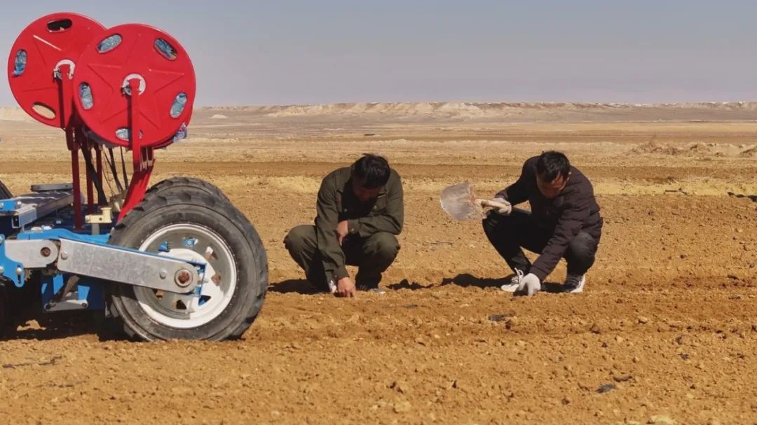 mmexport1742548790008