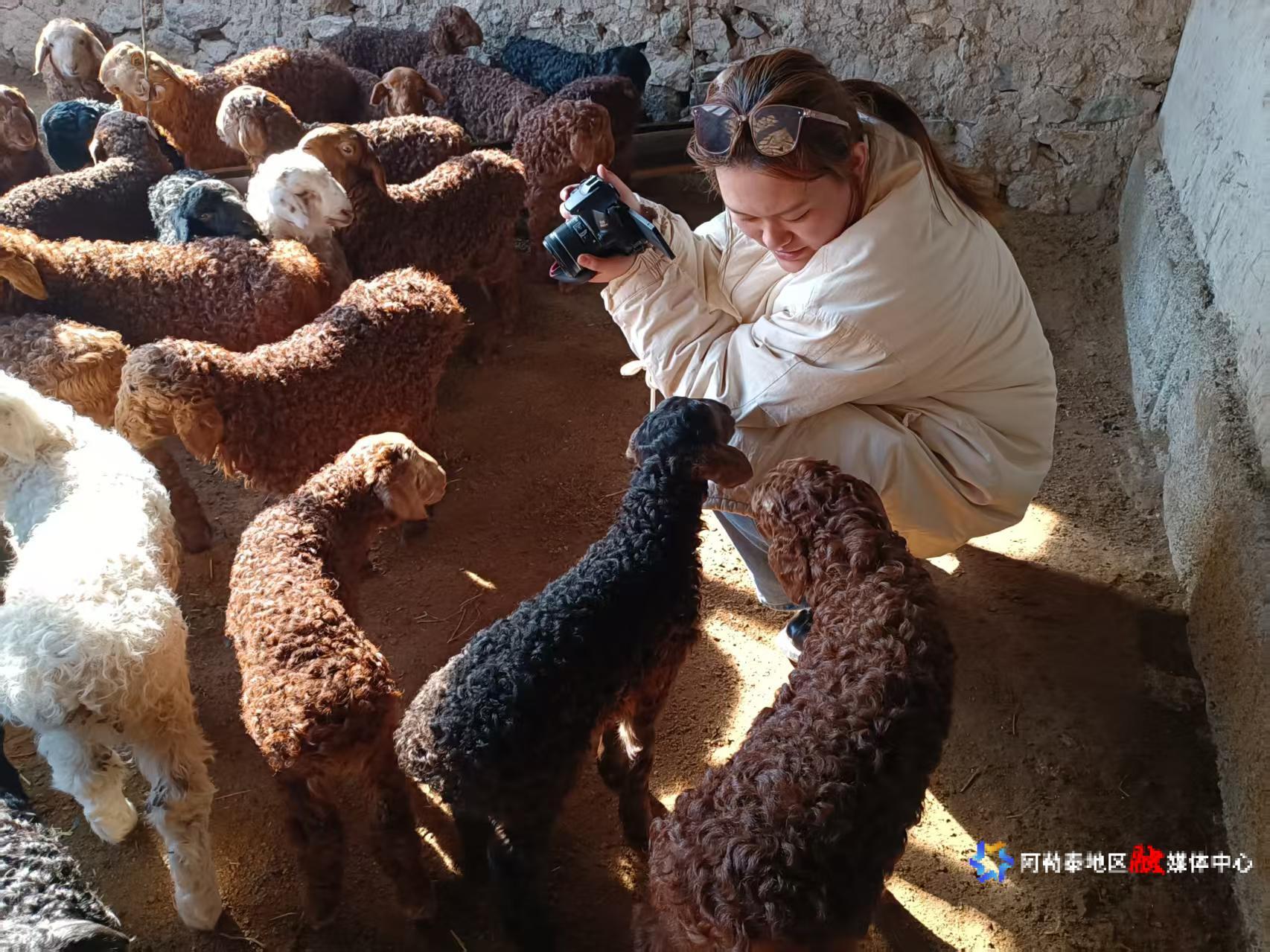 mmexport1743349948118