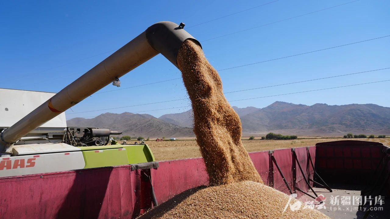 mmexport1746683264752