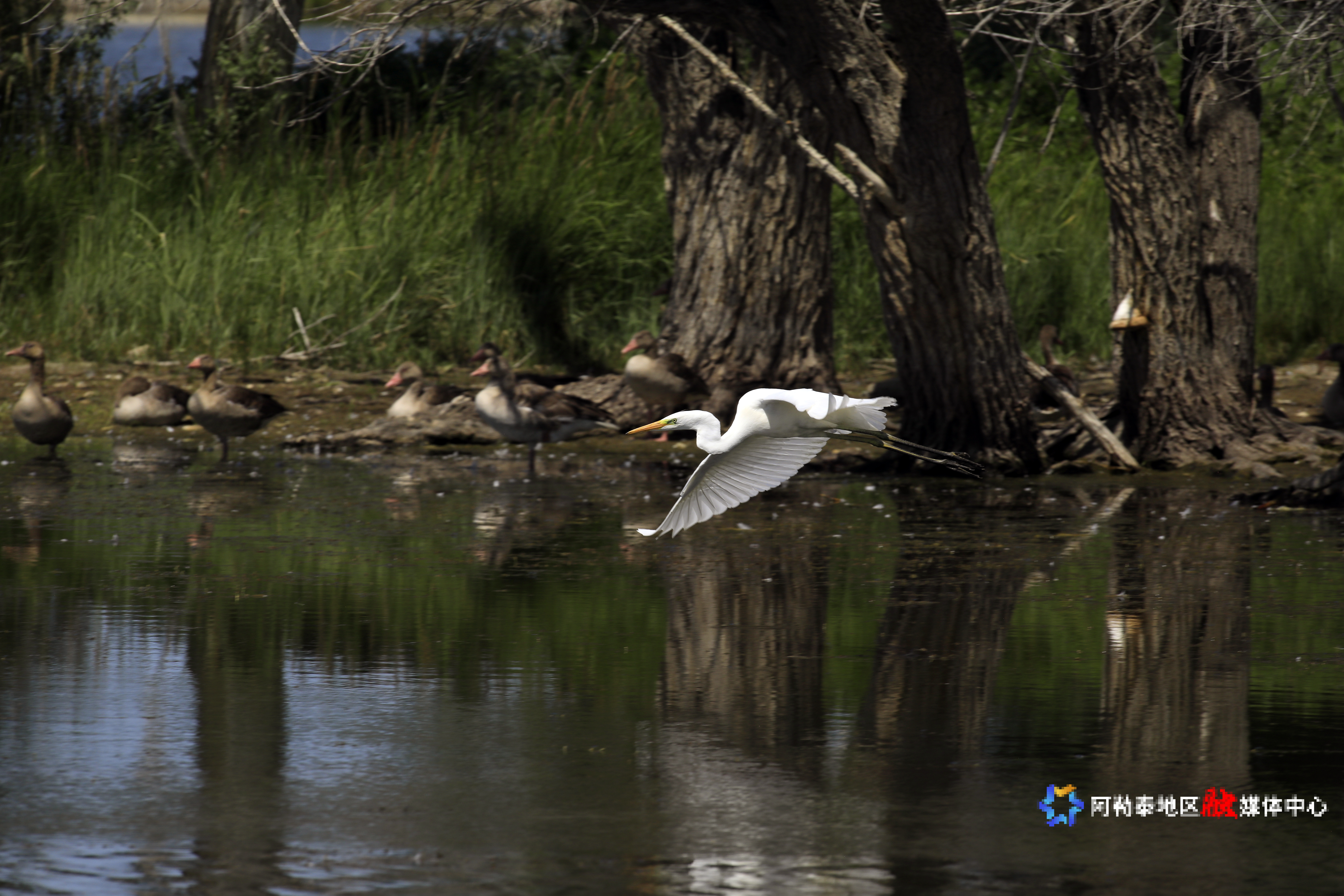 mmexport1752893450538