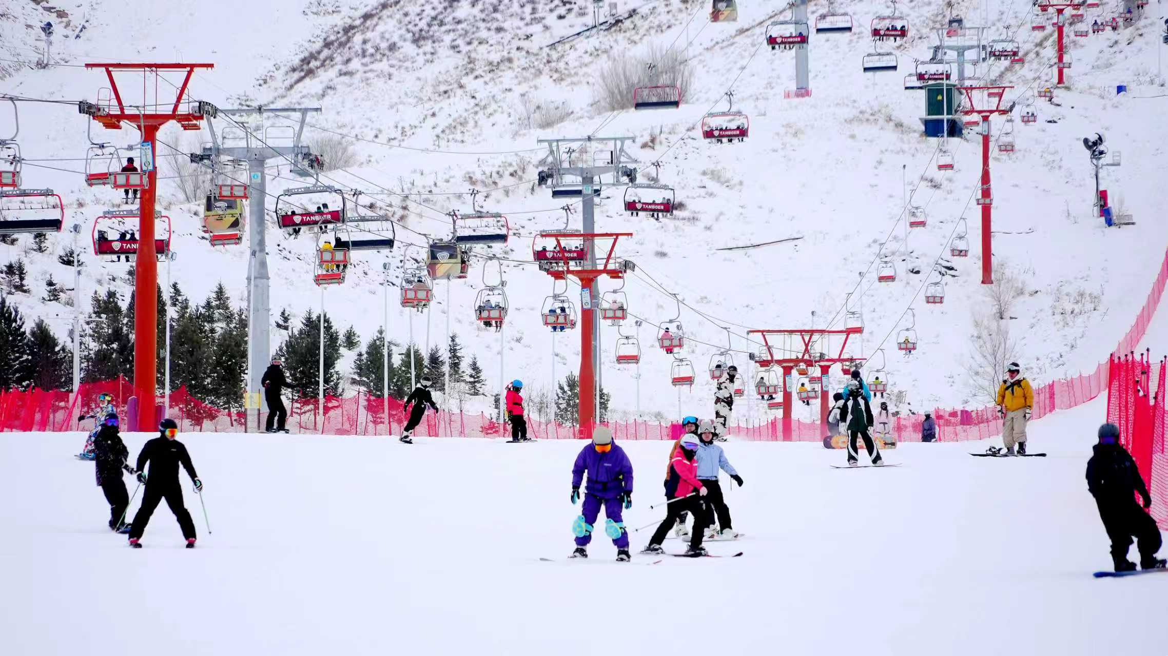 mmexport1764856603400