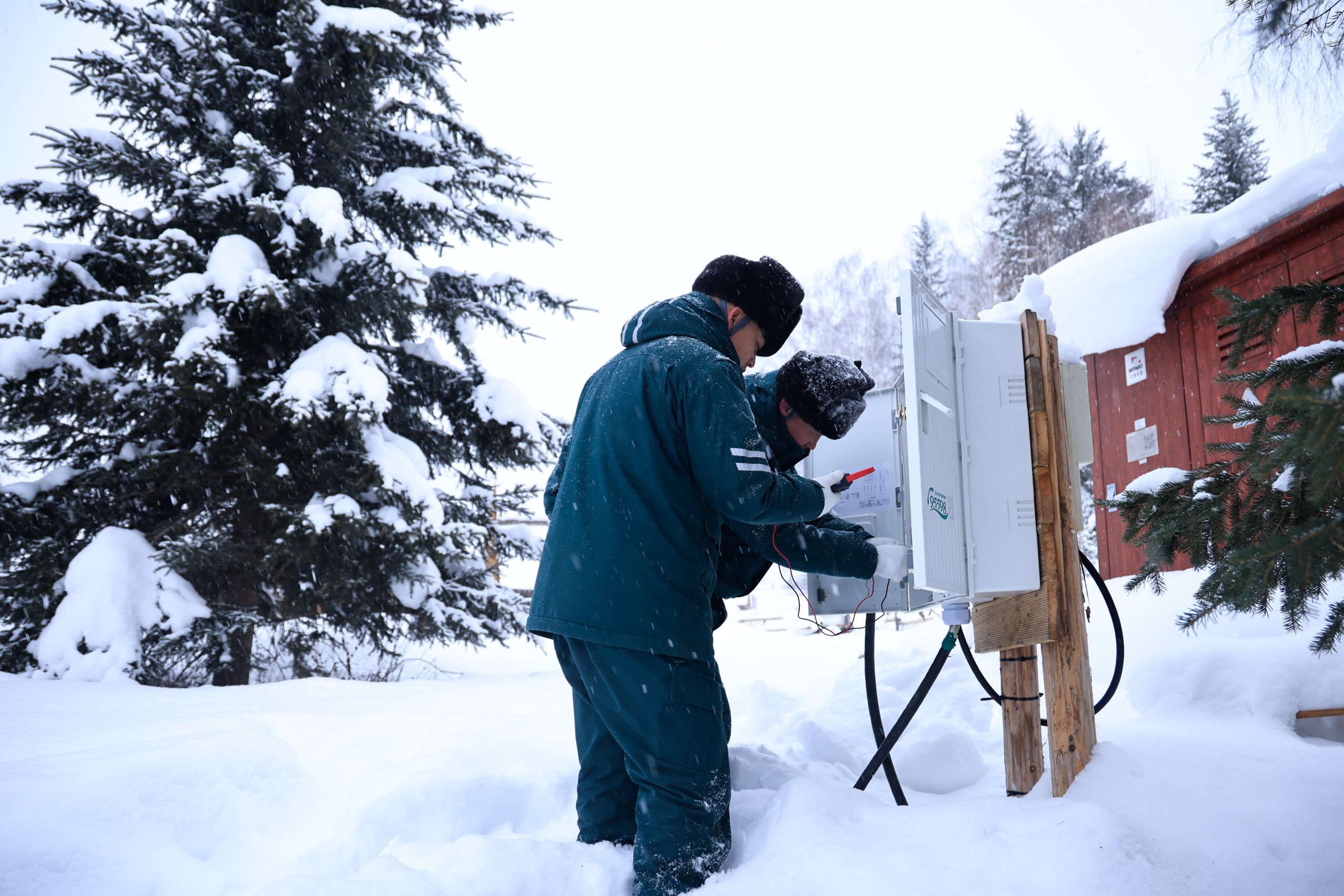 Image_1768294378326_489