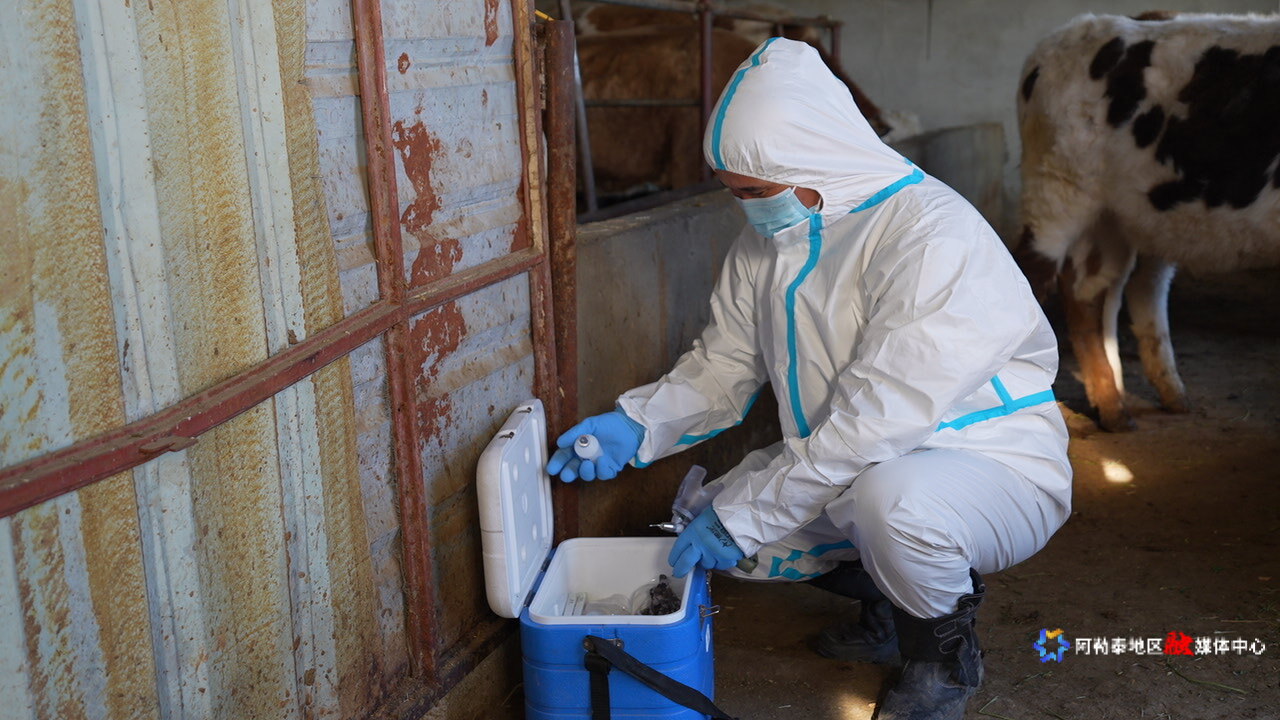 mmexport1774962780241