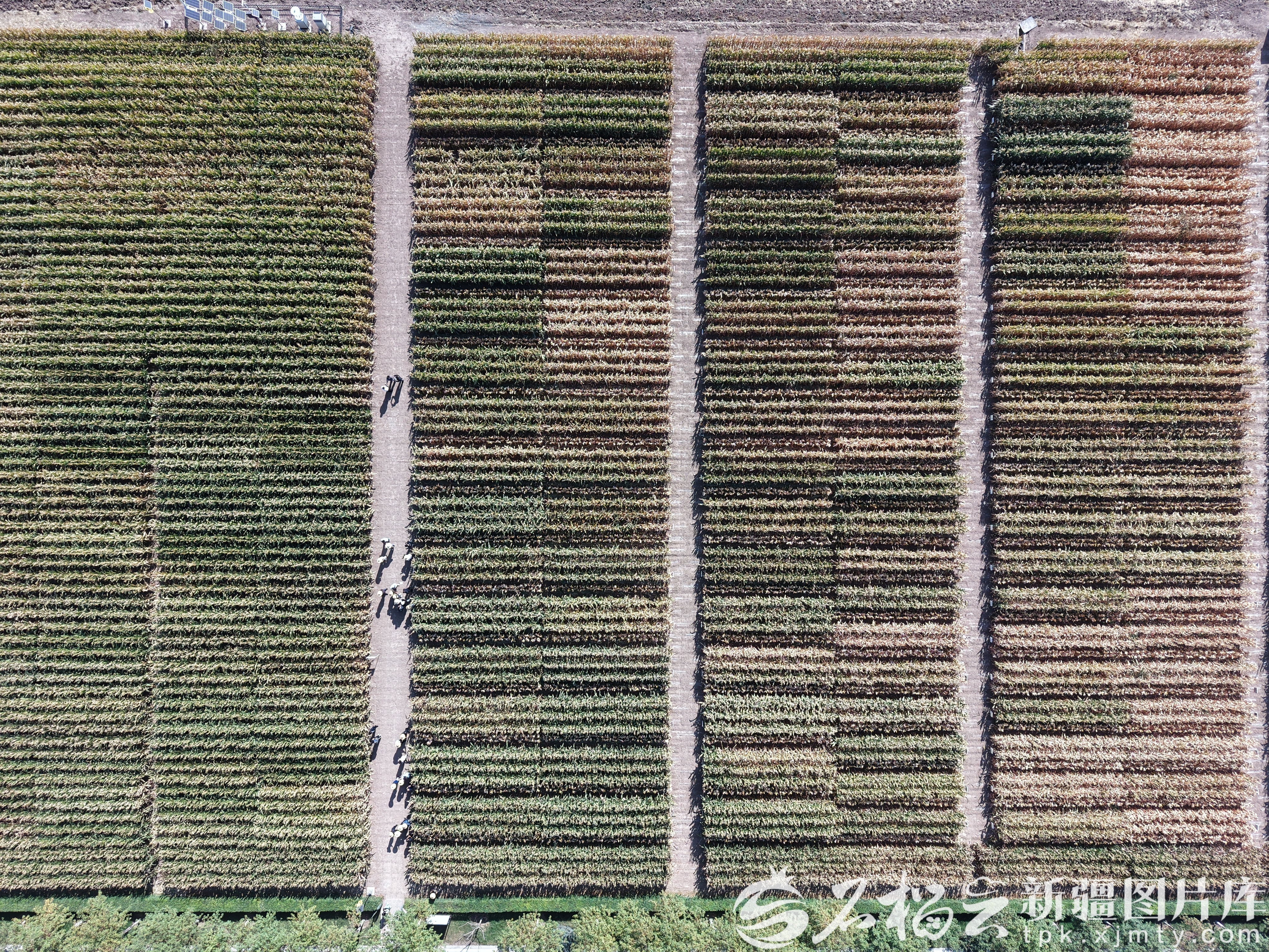 DJI_20250910113544_0216_D