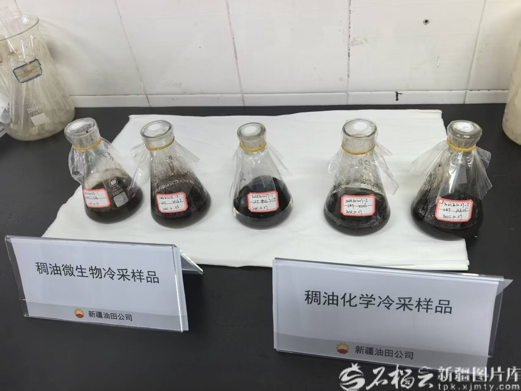 mmexport1762164366090