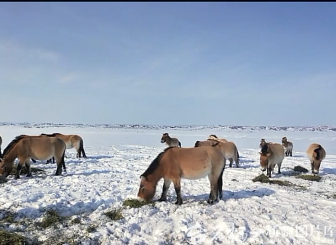 mmexport1768798661951