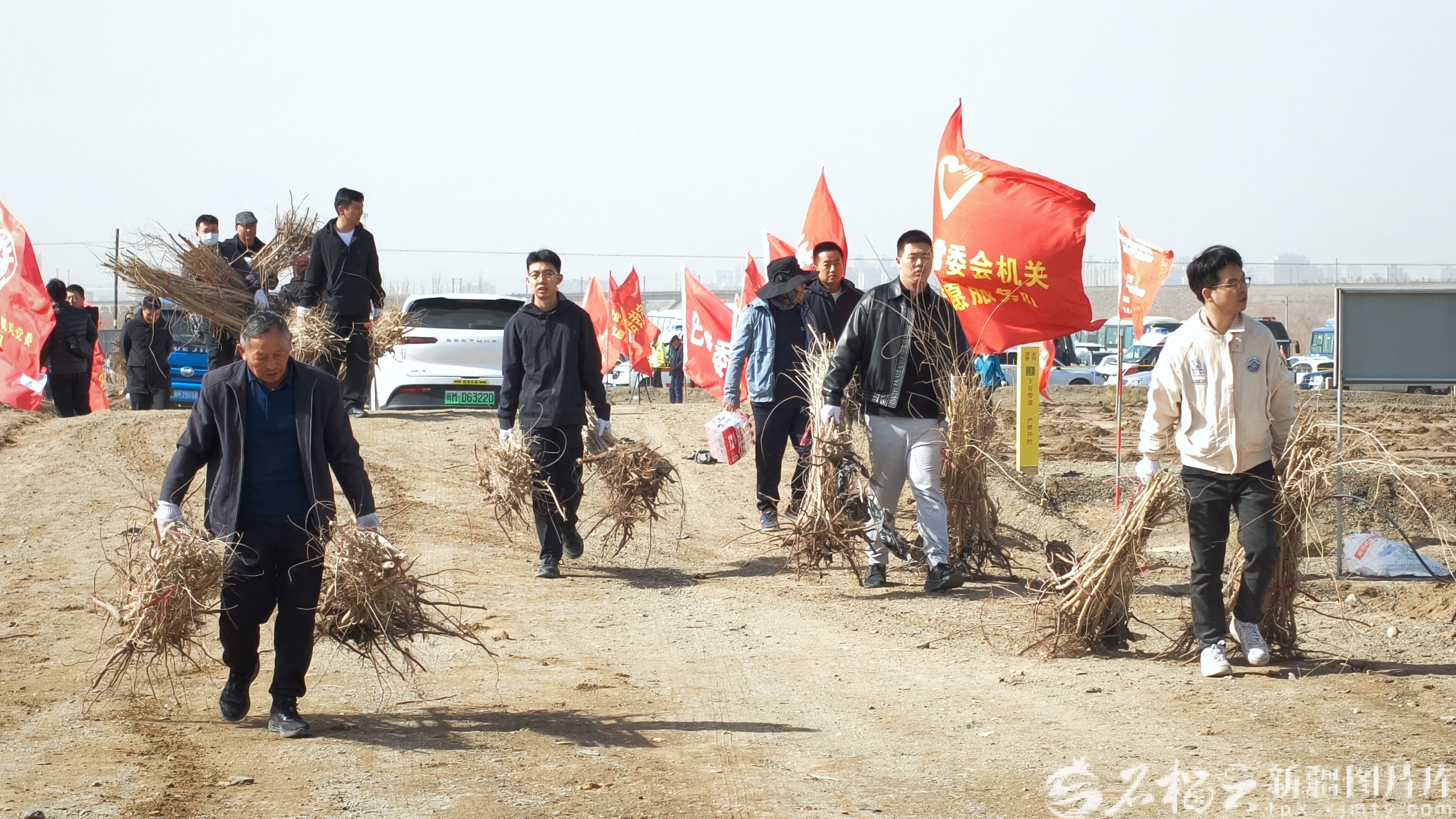 IMG20260327114453_01